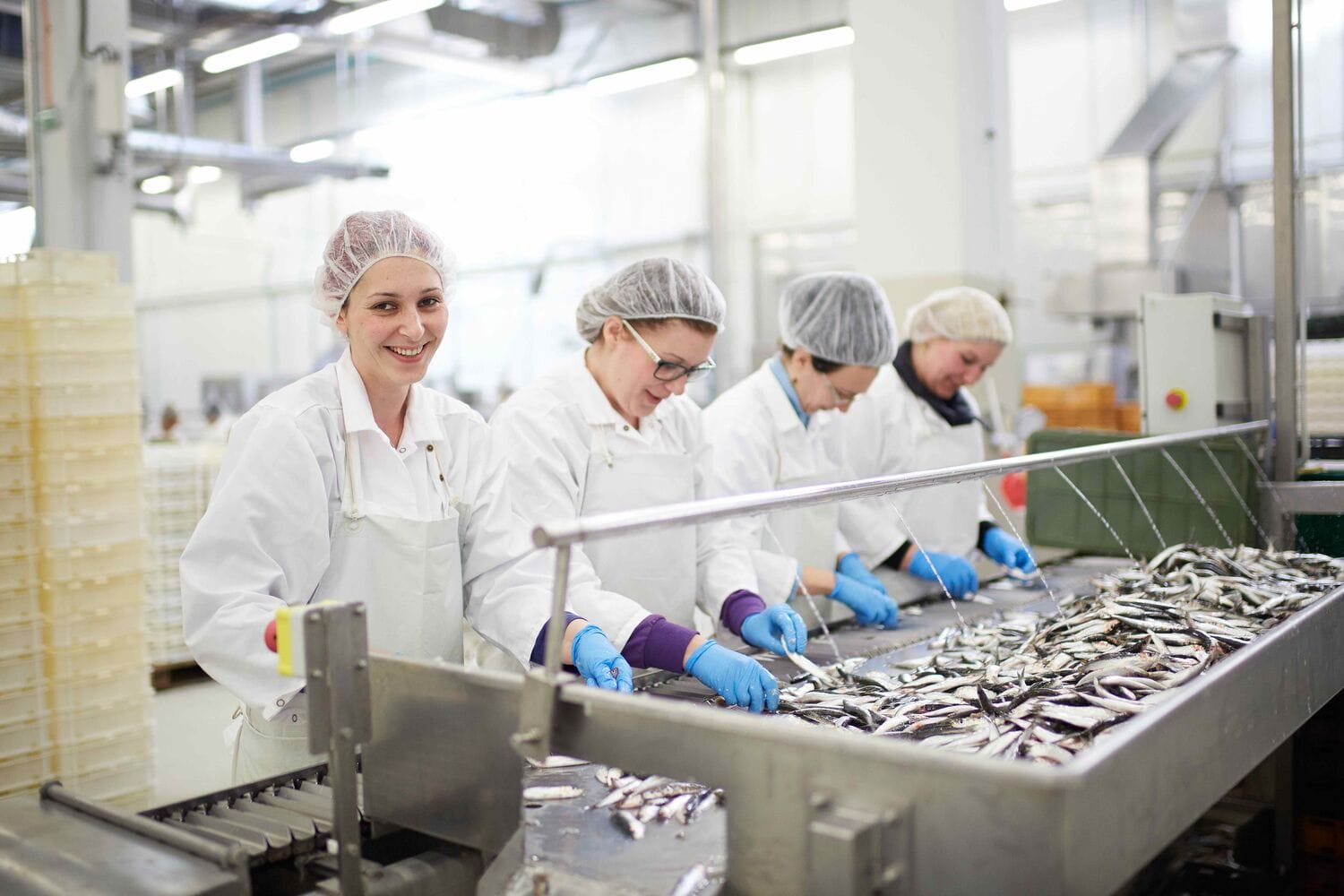 Fish processing facility Sardina enjoy qualitative workwear service from Lindström.