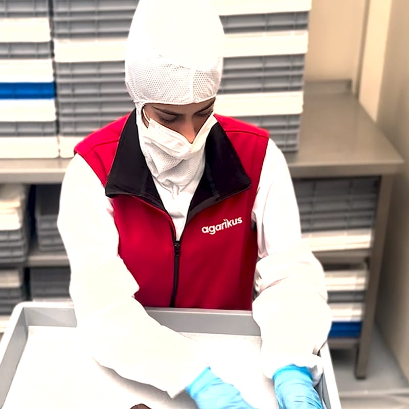 Agaricus worker enjoying Lindström industrial wiper service