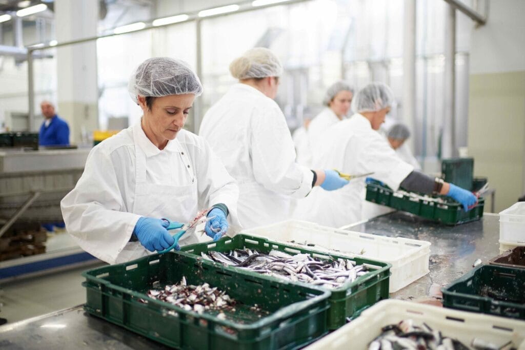 Sardina Fish Processing Plant