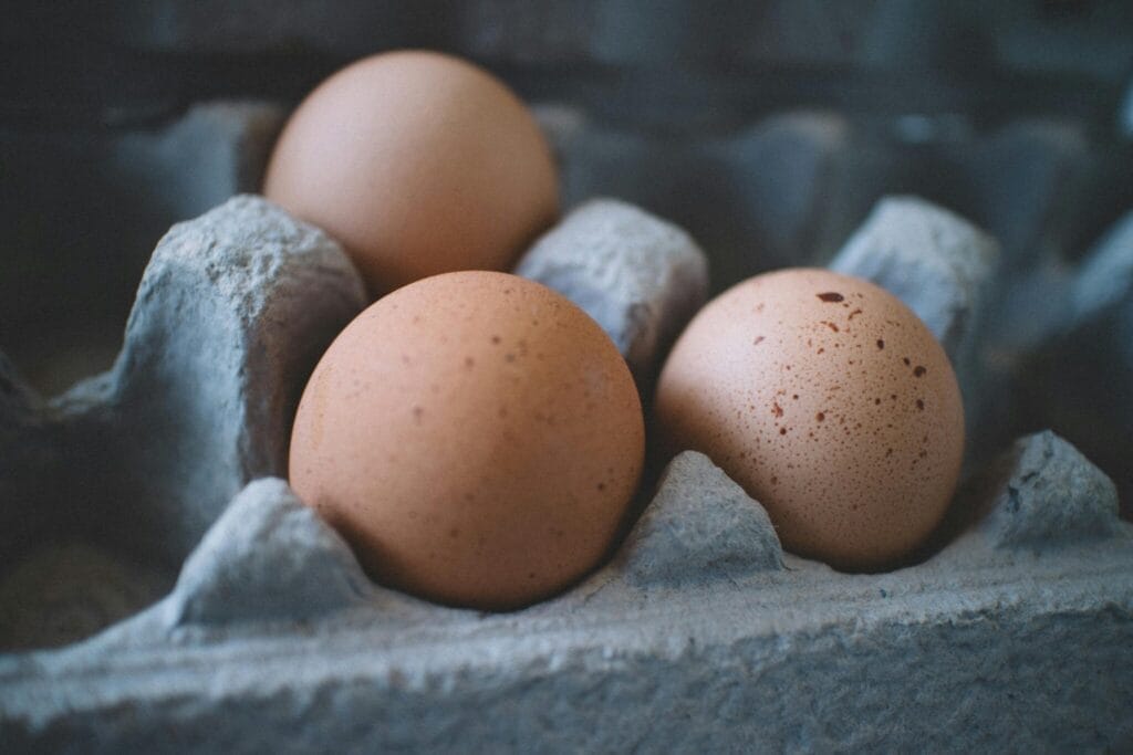 Poonglim Food Egg Processing